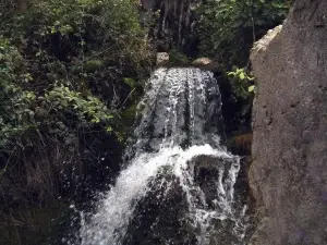 4857d8af4ea2d24ee3679027bf3c31b0